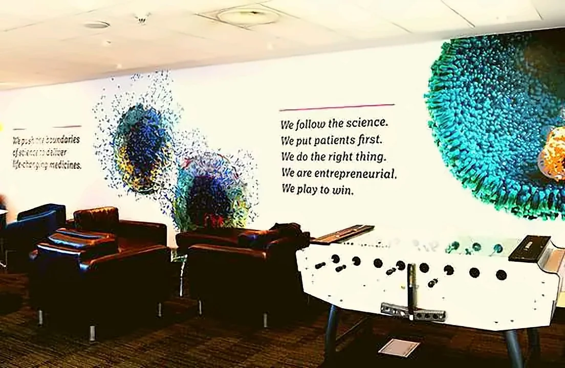 Office wall graphics and branding by Crewnited